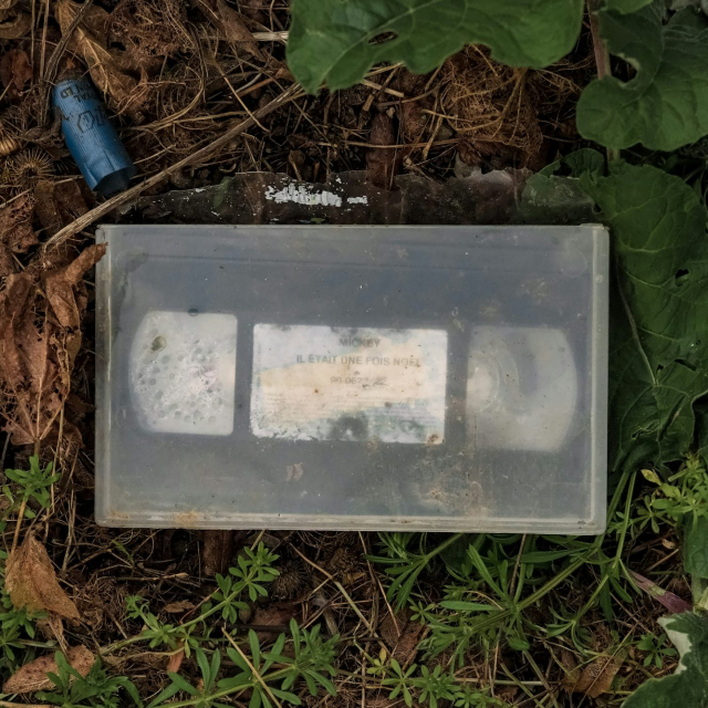 Clear glass container on brown dried leaves